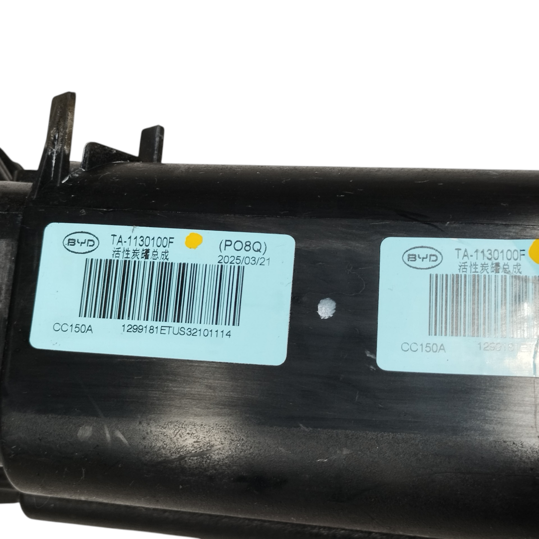 filtro canister BYD KING GS 1.5 2025 6