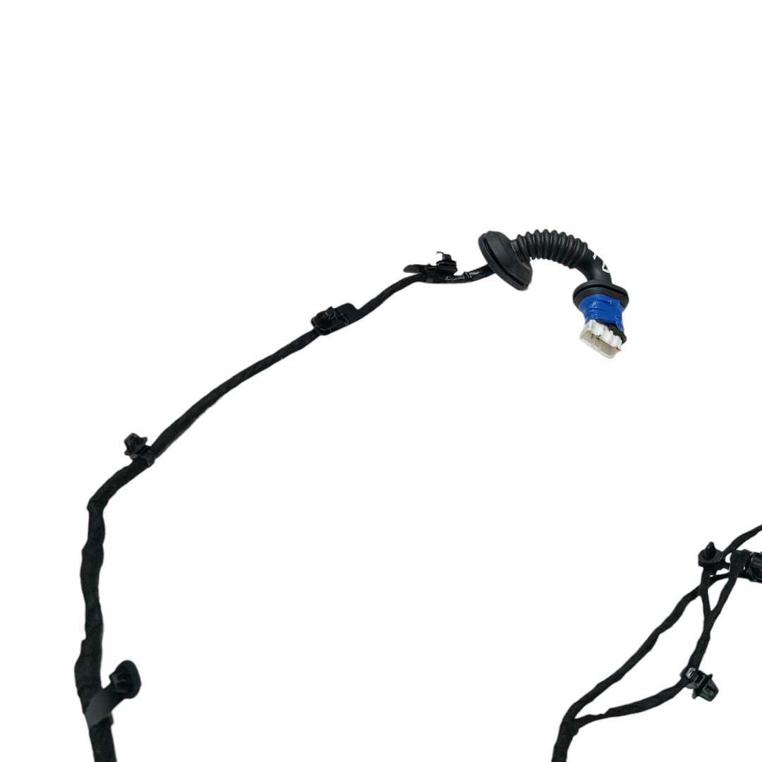 chicote porta traseira direita Byd king gs 2025 5