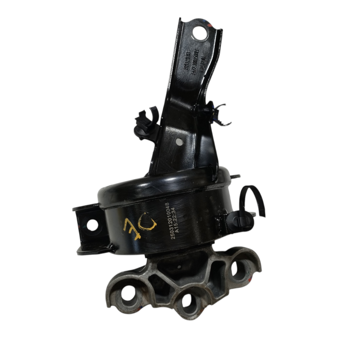 coxim Esquerdo motor BYD KING GS 1.5 2025 9