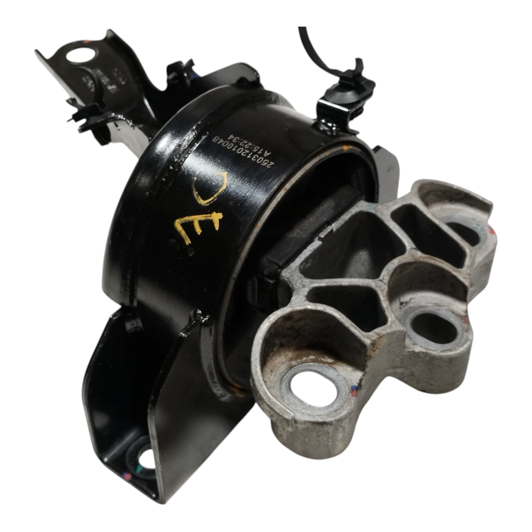 coxim Esquerdo motor BYD KING GS 1.5 2025 4