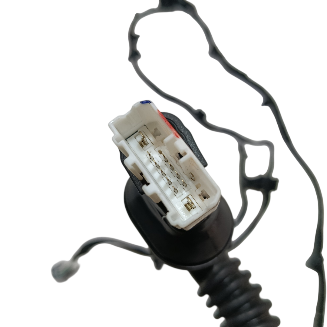 chicote porta traseira esquerda Byd king gs 2025 7