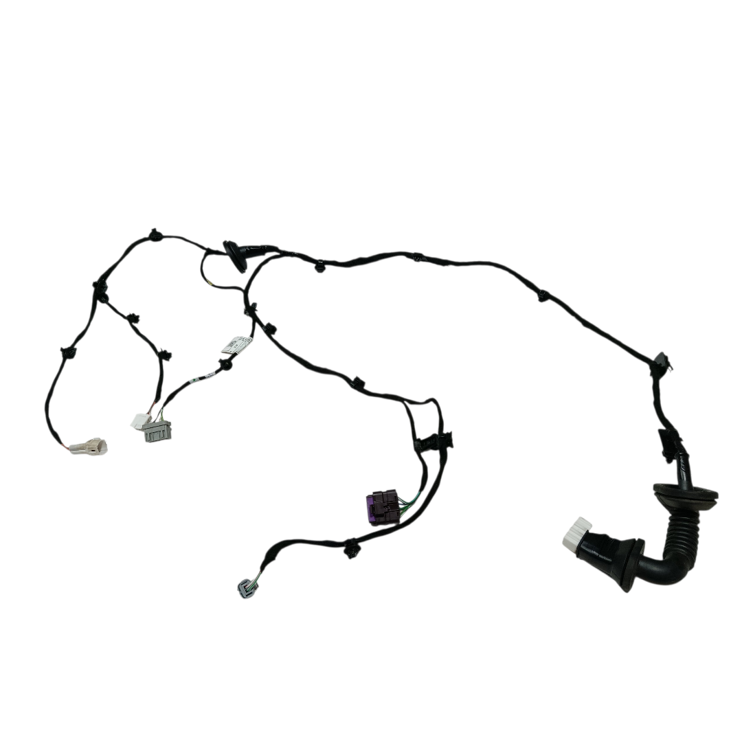 chicote porta traseira esquerda Byd king gs 2025 4