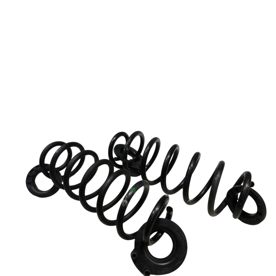 par molas traseiras BYD KING GS 1.5 2025 3
