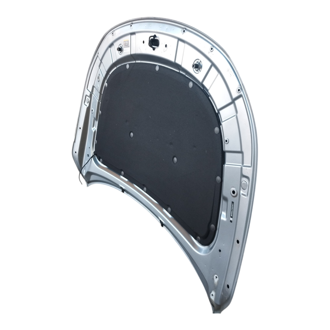 capo BYD KING 2025 6