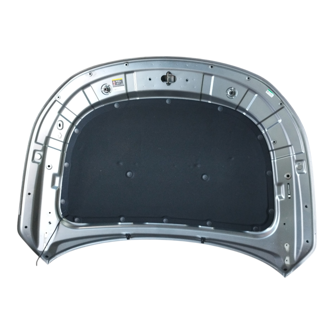 capo BYD KING 2025 5
