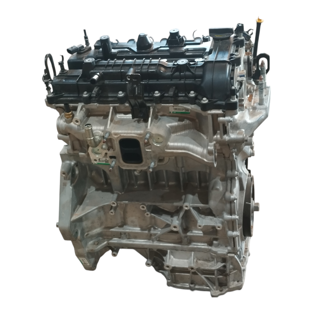 motor parcial eletrico BYD KING GS 1.5 2025 10