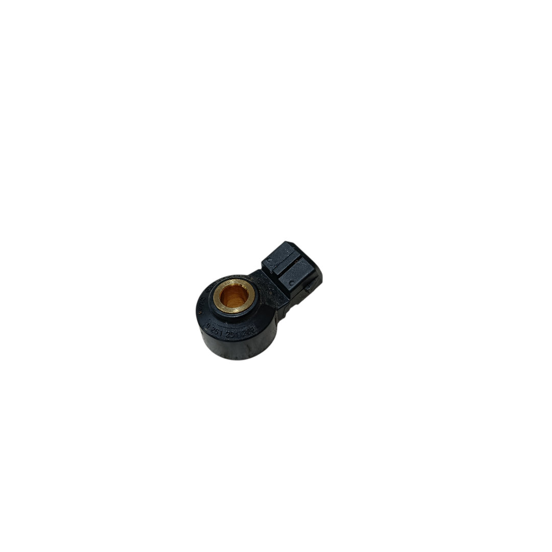 sensor detonacao BYD KING GS 1.5 2025