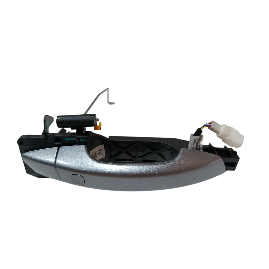 Maçaneta externa traseira Esquerda Byd king gs 2025 2