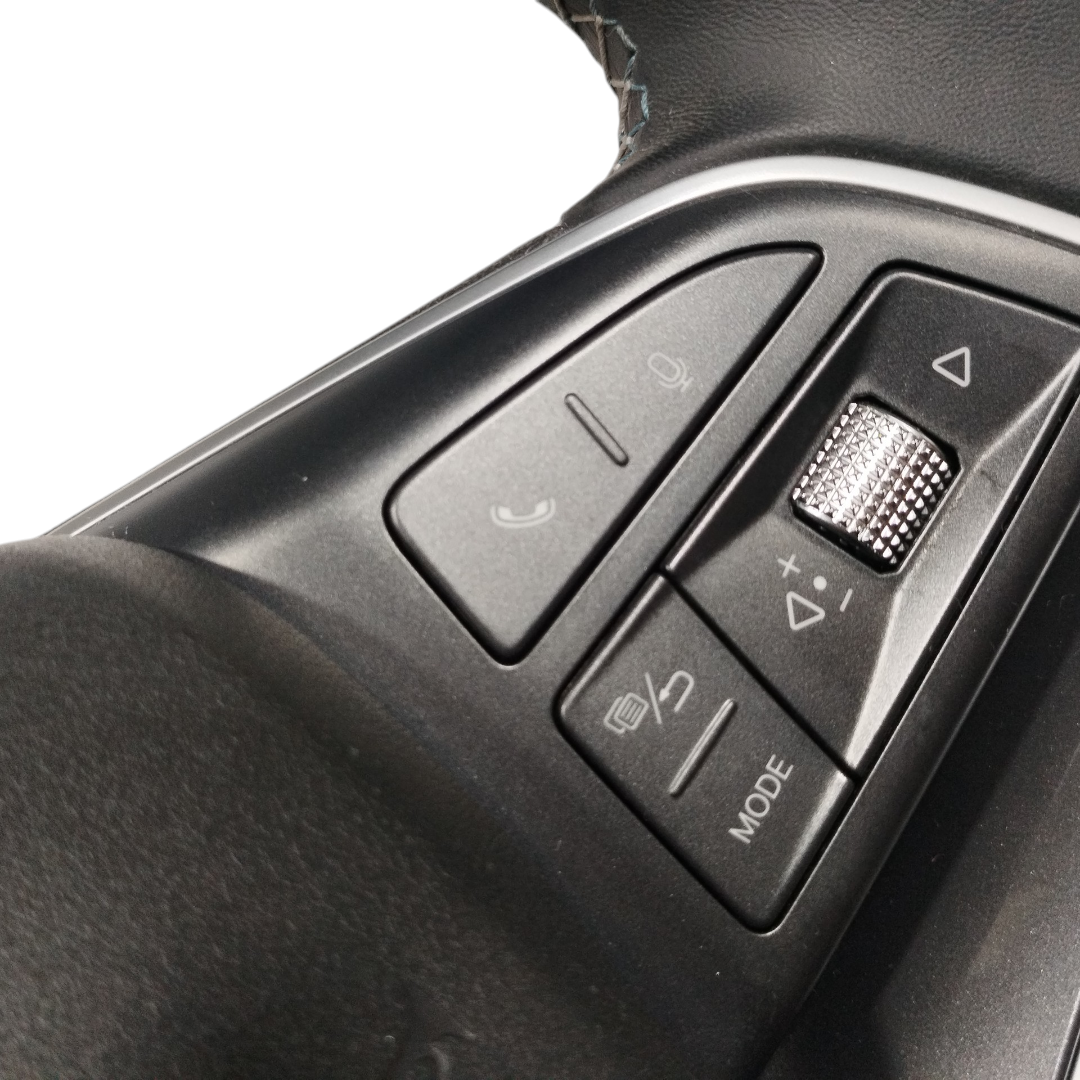 volante motorista Byd king gs 2025 6