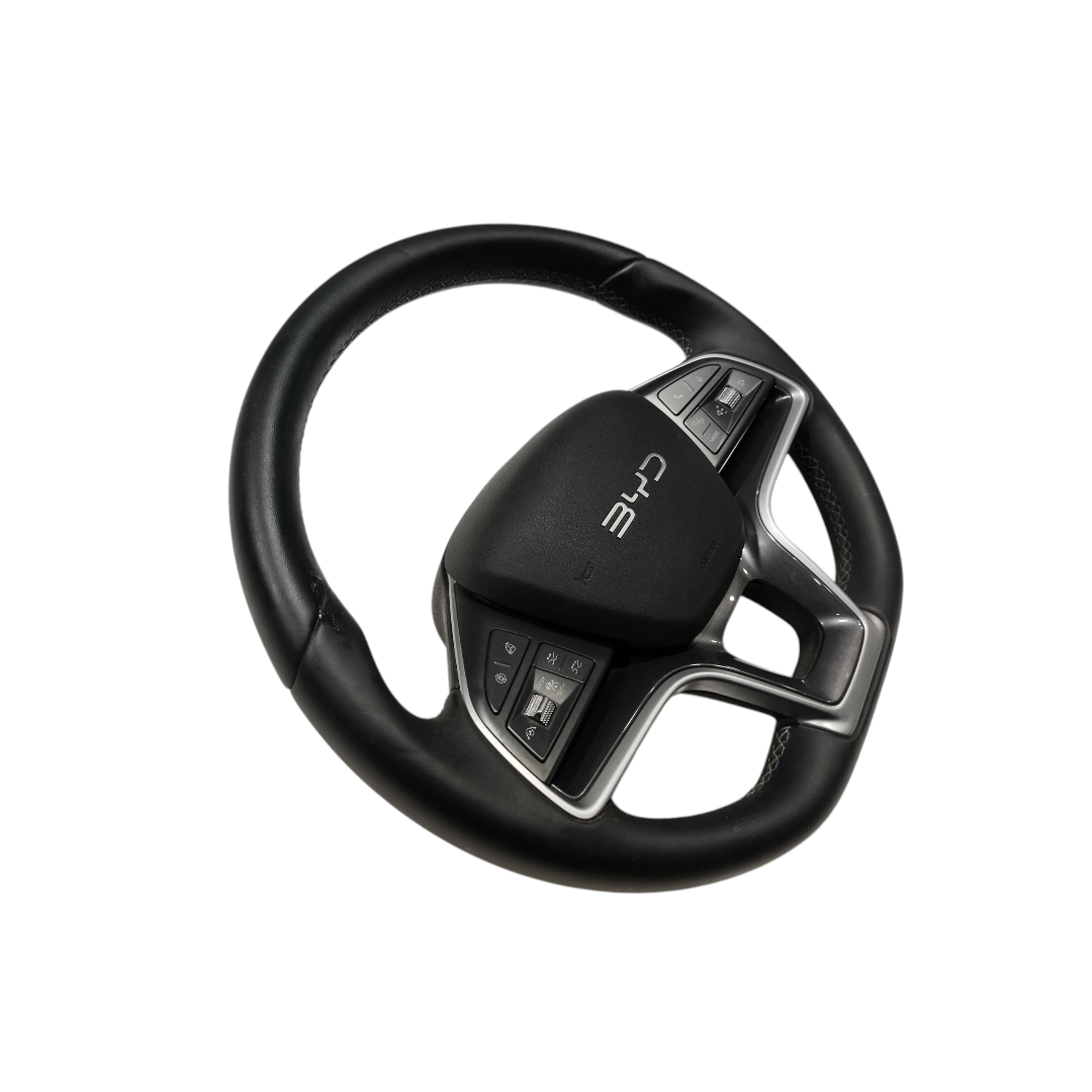volante motorista Byd king gs 2025 2