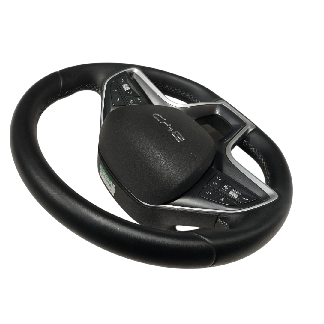 volante motorista Byd king gs 2025 5