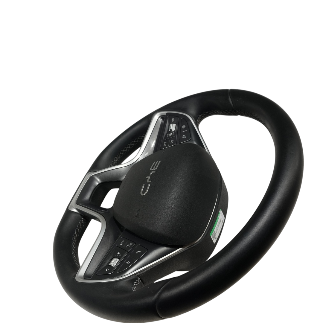 volante motorista Byd king gs 2025 3
