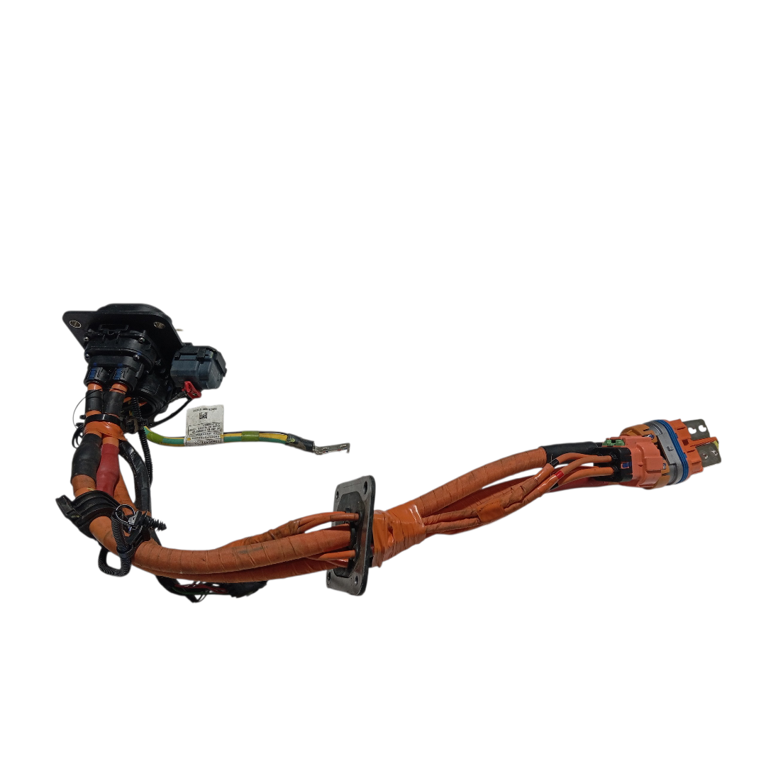 Chicote tomada carregador bateria BYD dolphin PLUS 2024 2025 6