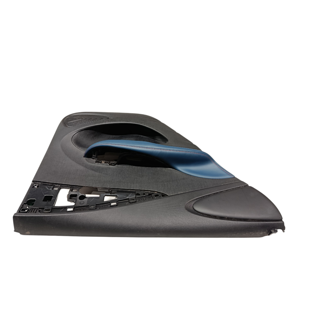 Forro porta traseiro esquerdo BYD dolphin PLUS 2024 2025 3
