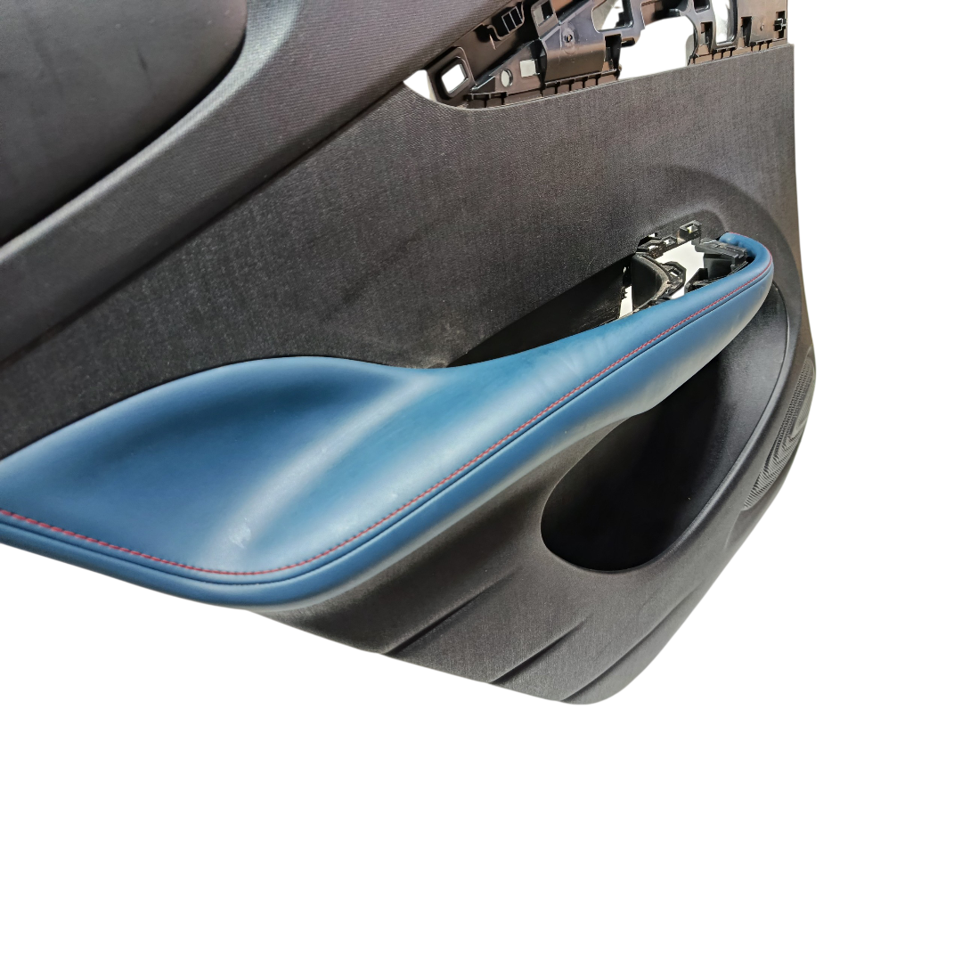 Forro porta traseiro esquerdo BYD dolphin PLUS 2024 2025 5