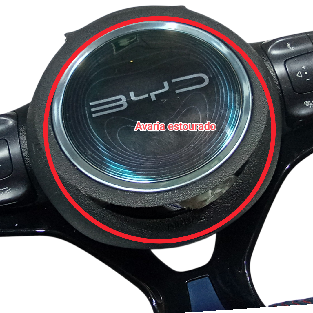 Volante Motorista BYD dolphin PLUS 2024 2025 9