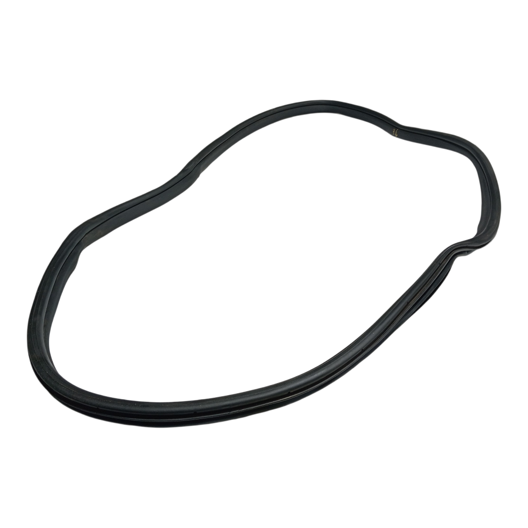 Borracha porta traseira Esquerda BYD dolphin PLUS 2024 2025 4