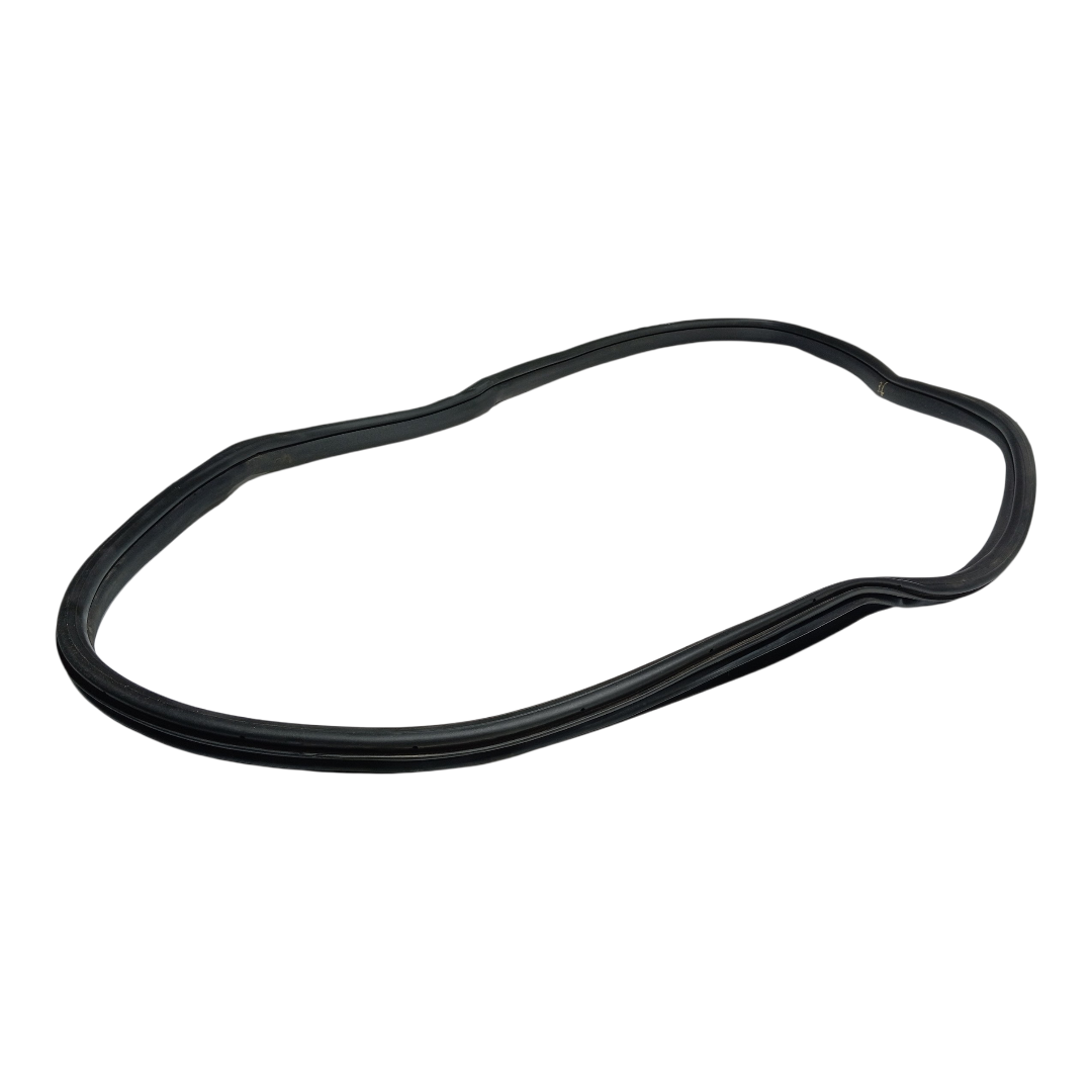 Borracha porta traseira Esquerda BYD dolphin PLUS 2024 2025 1
