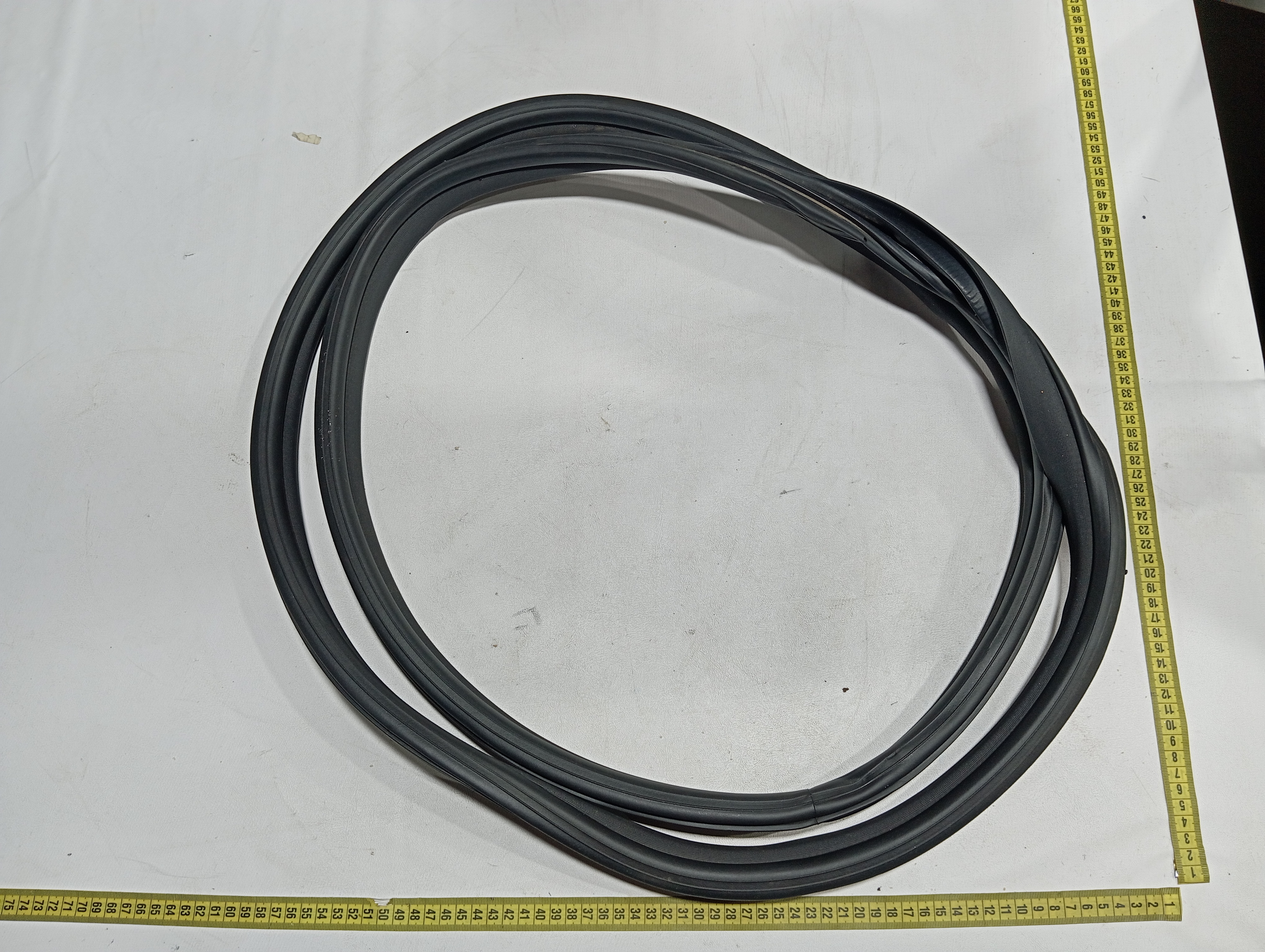 Borracha porta traseira Esquerda BYD dolphin PLUS 2024 2025 10