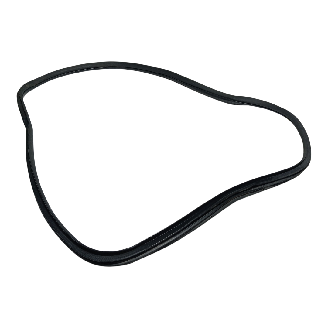 Borracha porta traseira Esquerda BYD dolphin PLUS 2024 2025 2