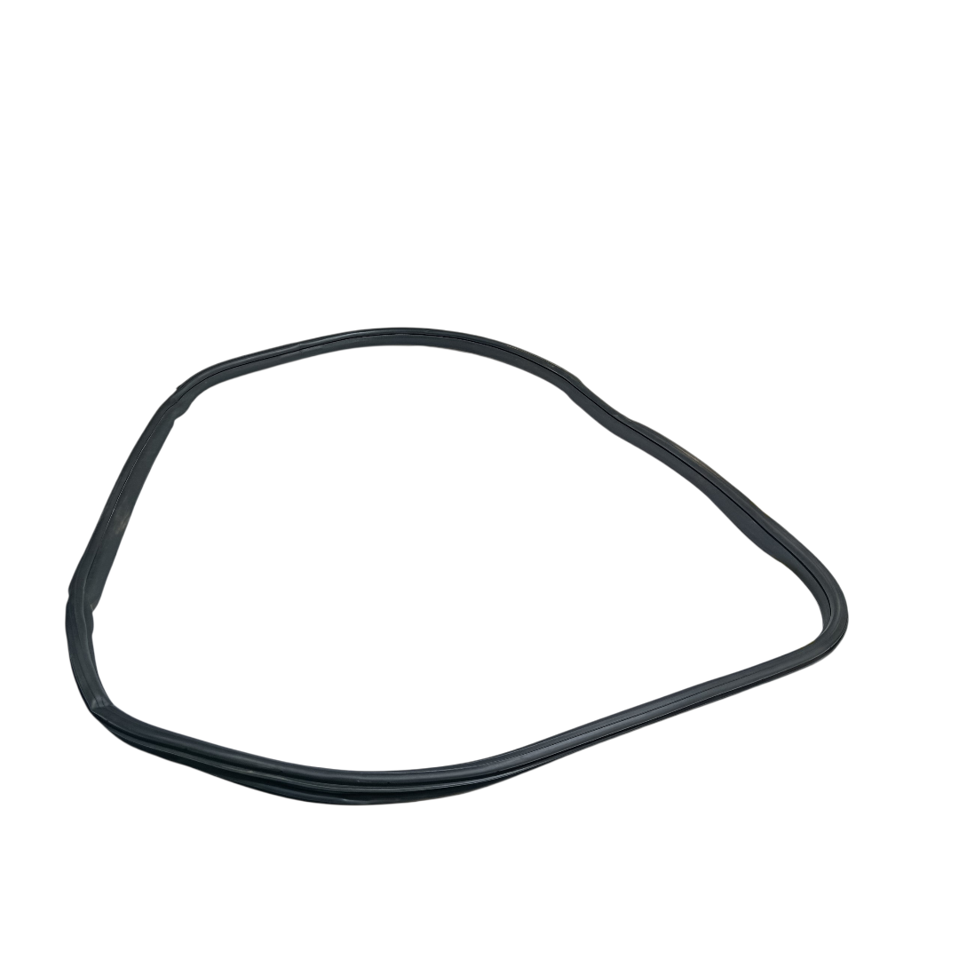 Borracha porta dianteira esquerda BYD dolphin PLUS 2024 2025 2
