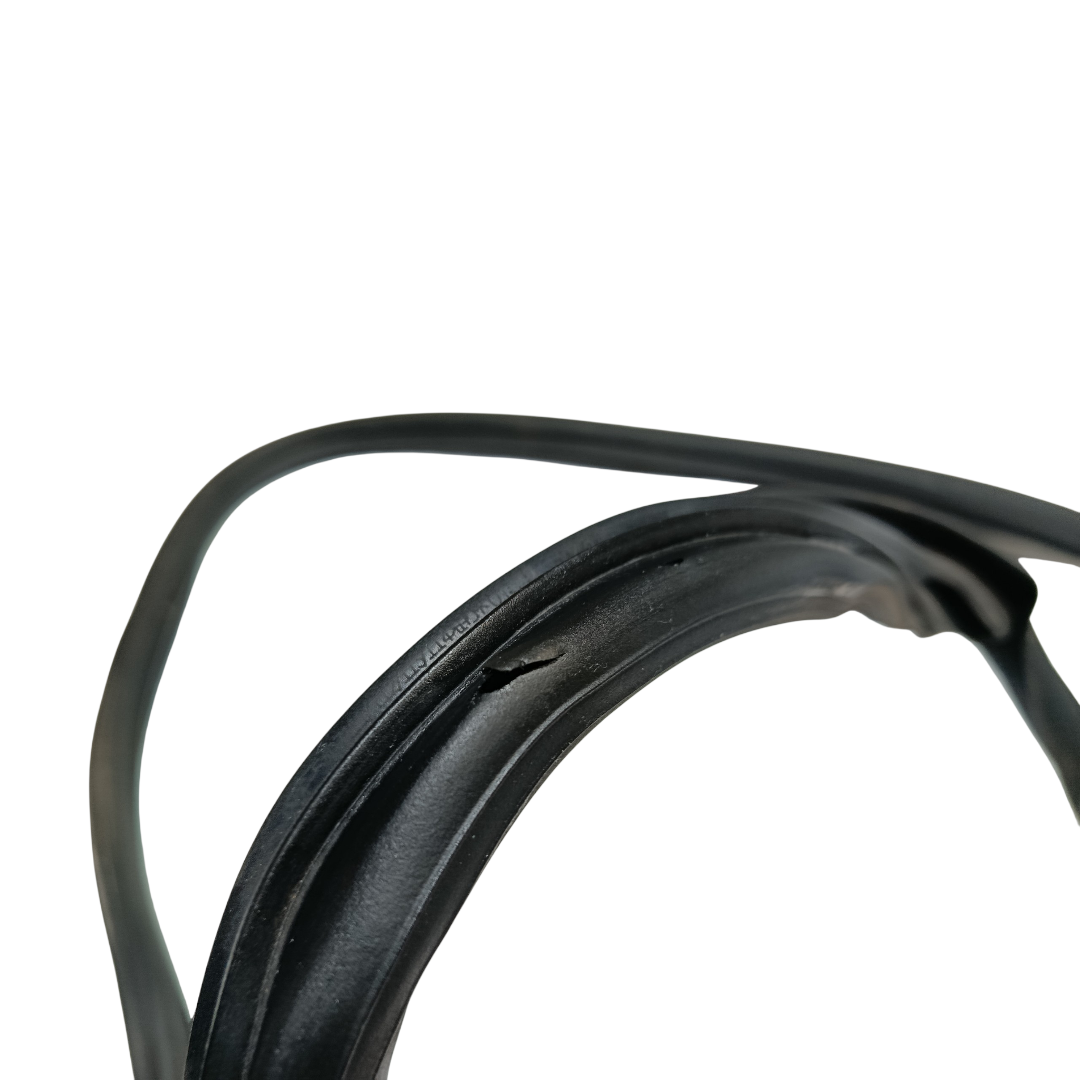 Borracha porta dianteira esquerda BYD dolphin PLUS 2024 2025 4
