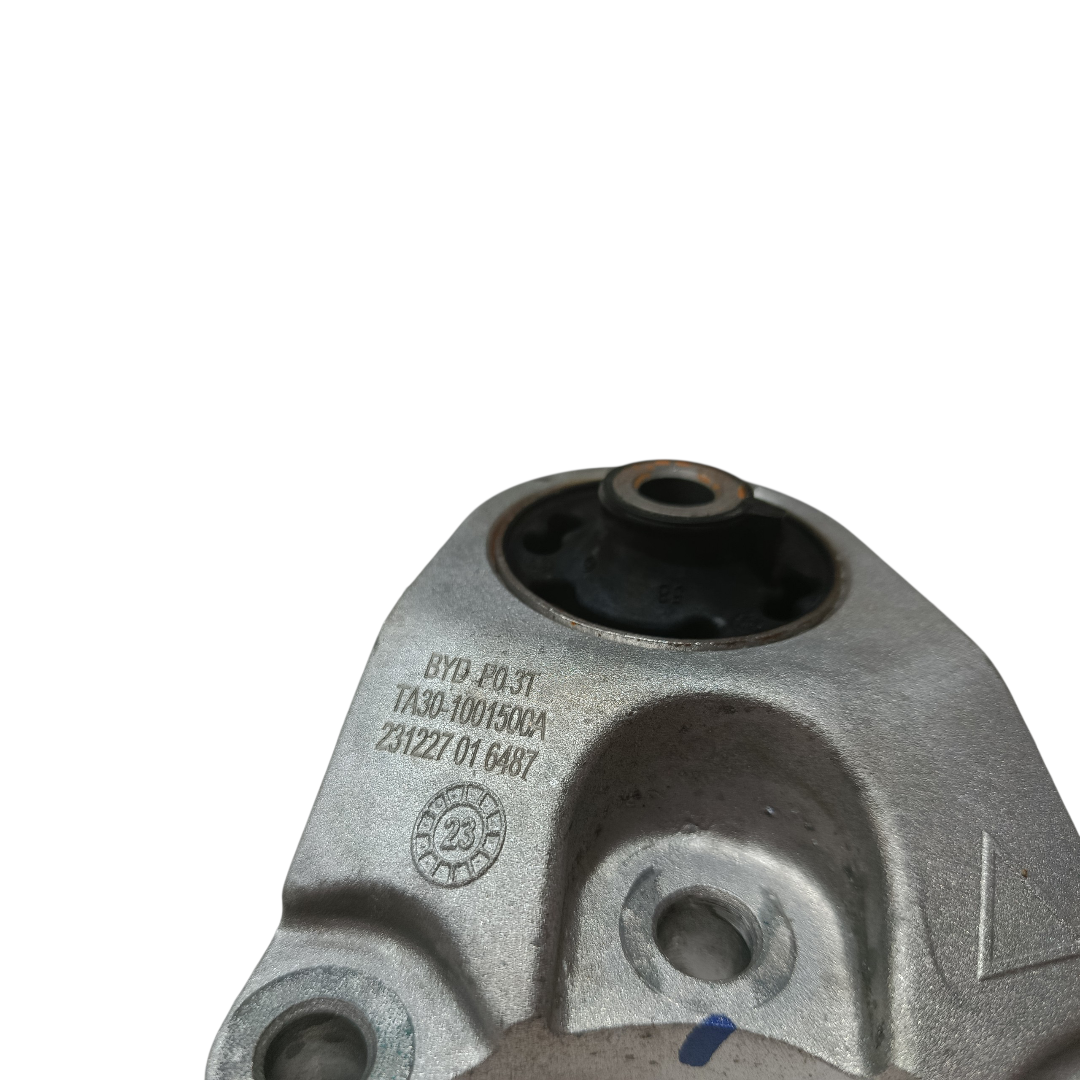 Coxim Esquerdo motor BYD dolphin PLUS 2024 2025 6