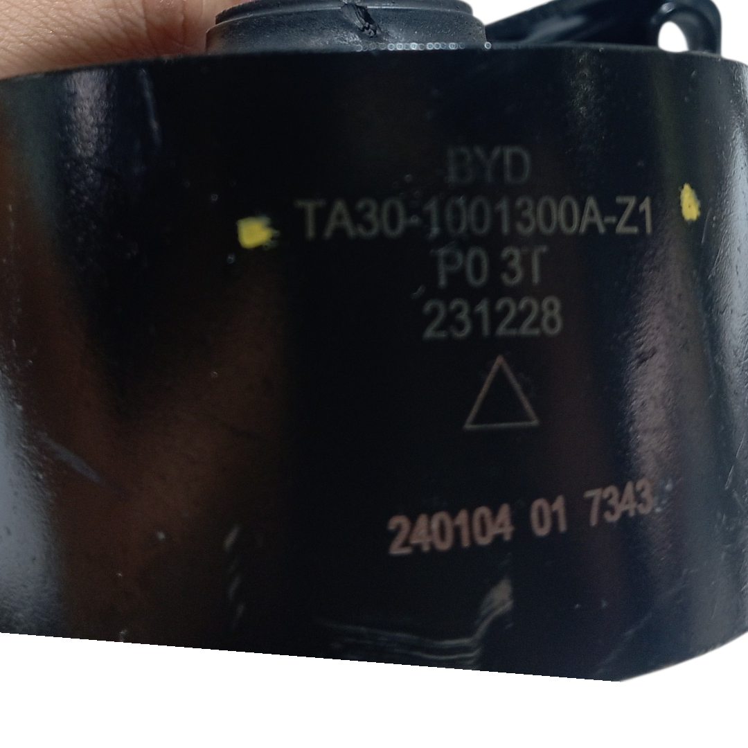 Coxim traseiro motor BYD dolphin PLUS 2024 2025 9