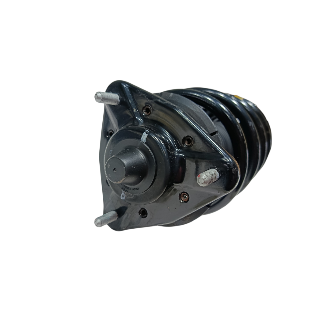 Amortecedor dianteiro direito BYD dolphin PLUS 2024 2025 3