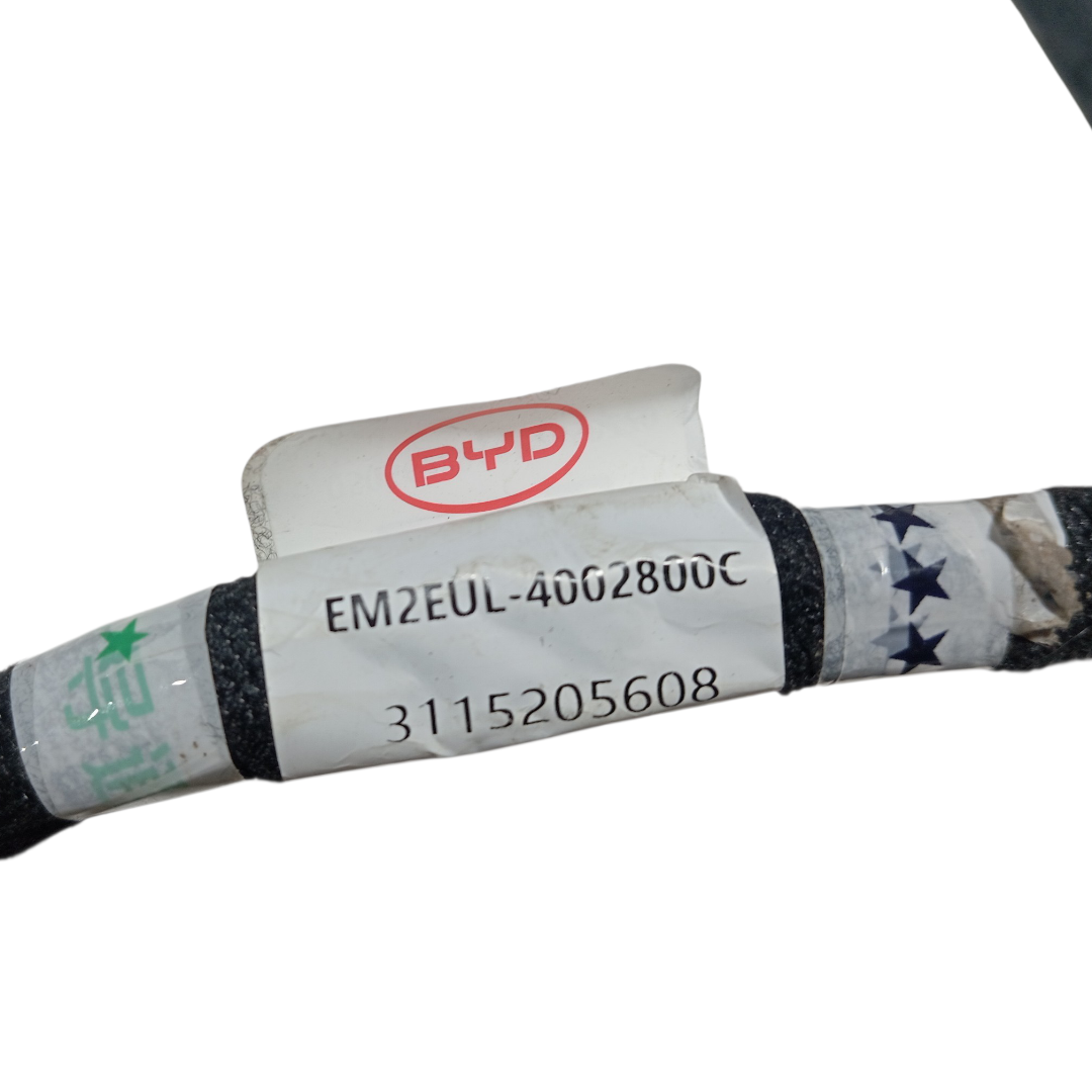 Chicote teto BYD dolphin PLUS 2024 2025 9
