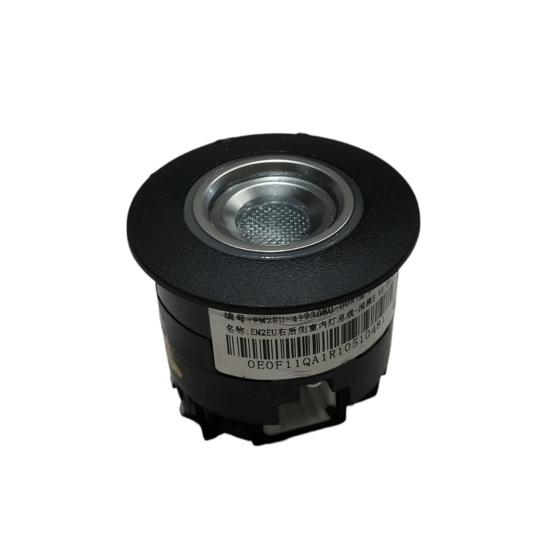 Luz interna BYD dolphin PLUS 2024 2025