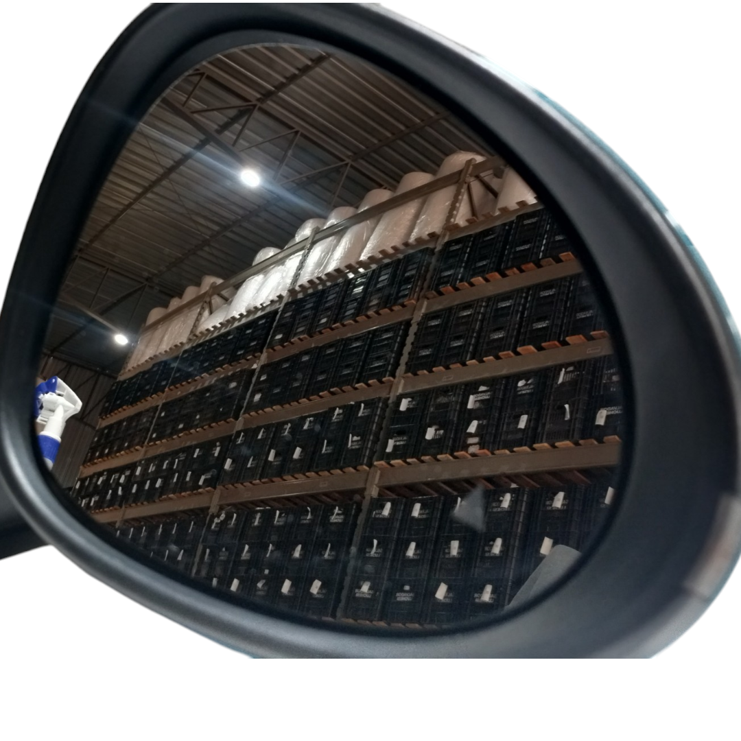 Retrovisor direito BYD dolphin PLUS 2024 2025 3