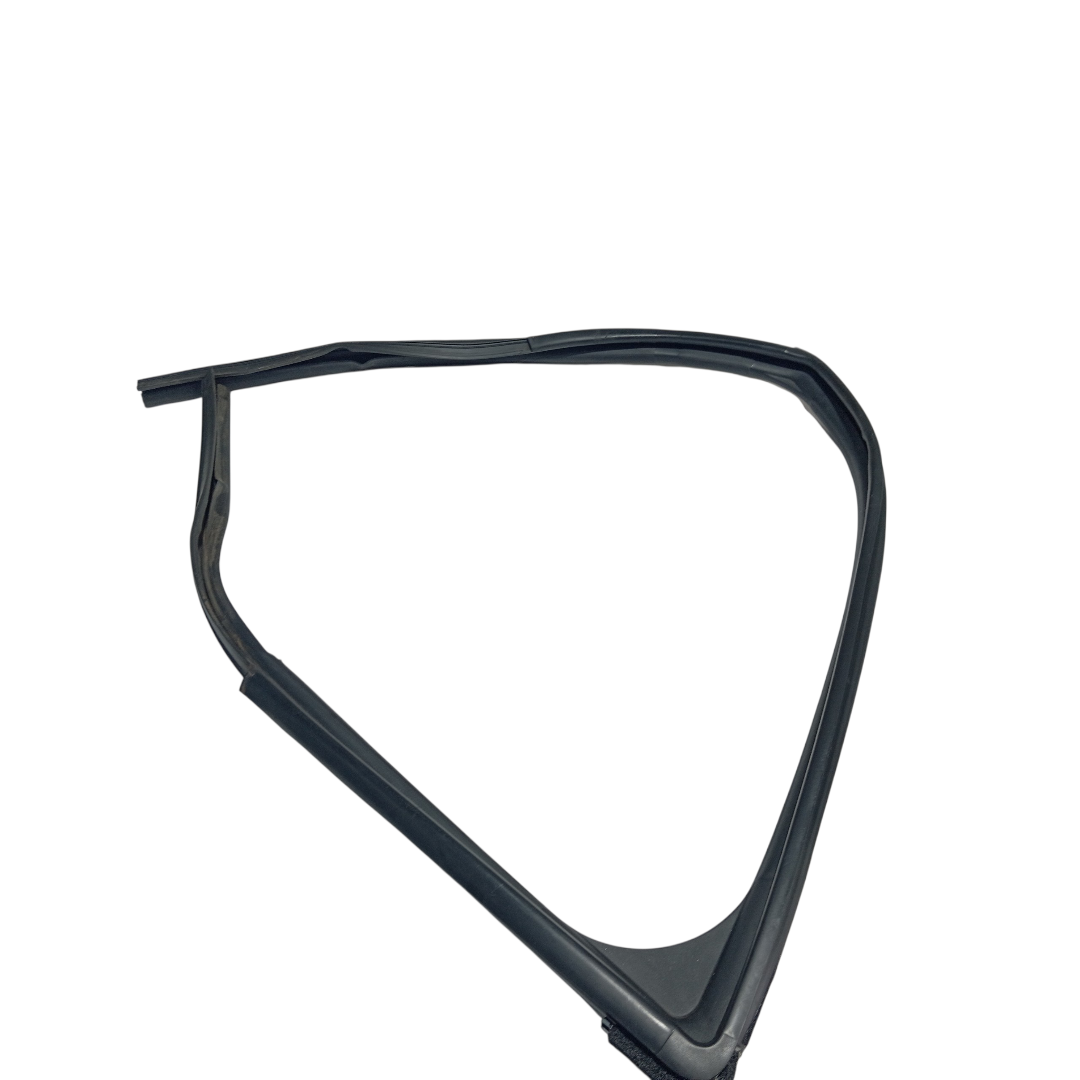 Borracha canaleta vidro diant esq BYD dolphin PLUS 2024 2025 2