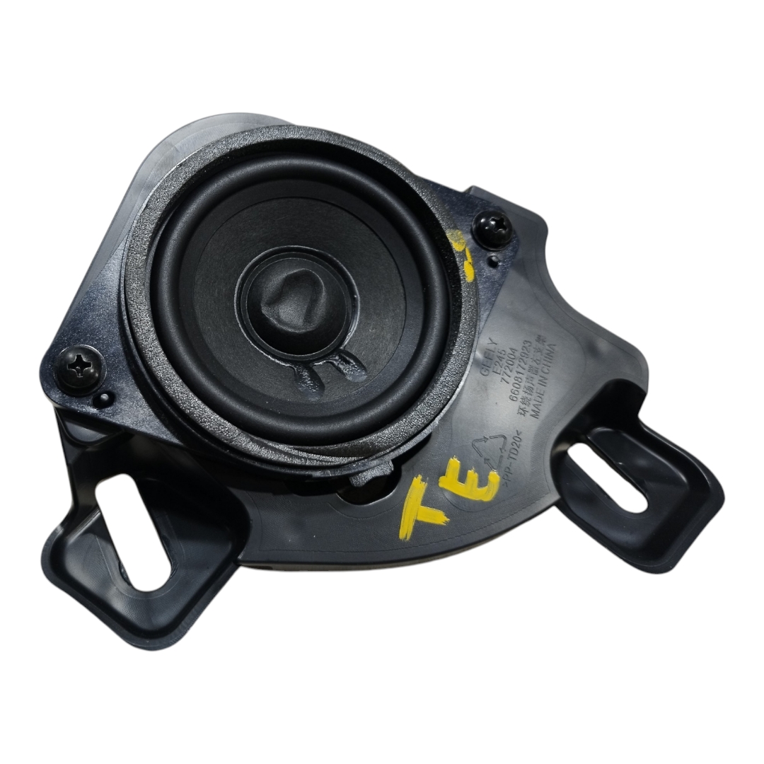 Alto Falante Traseiro Esquerdo Painel Geely Ex5 Max 25 2026