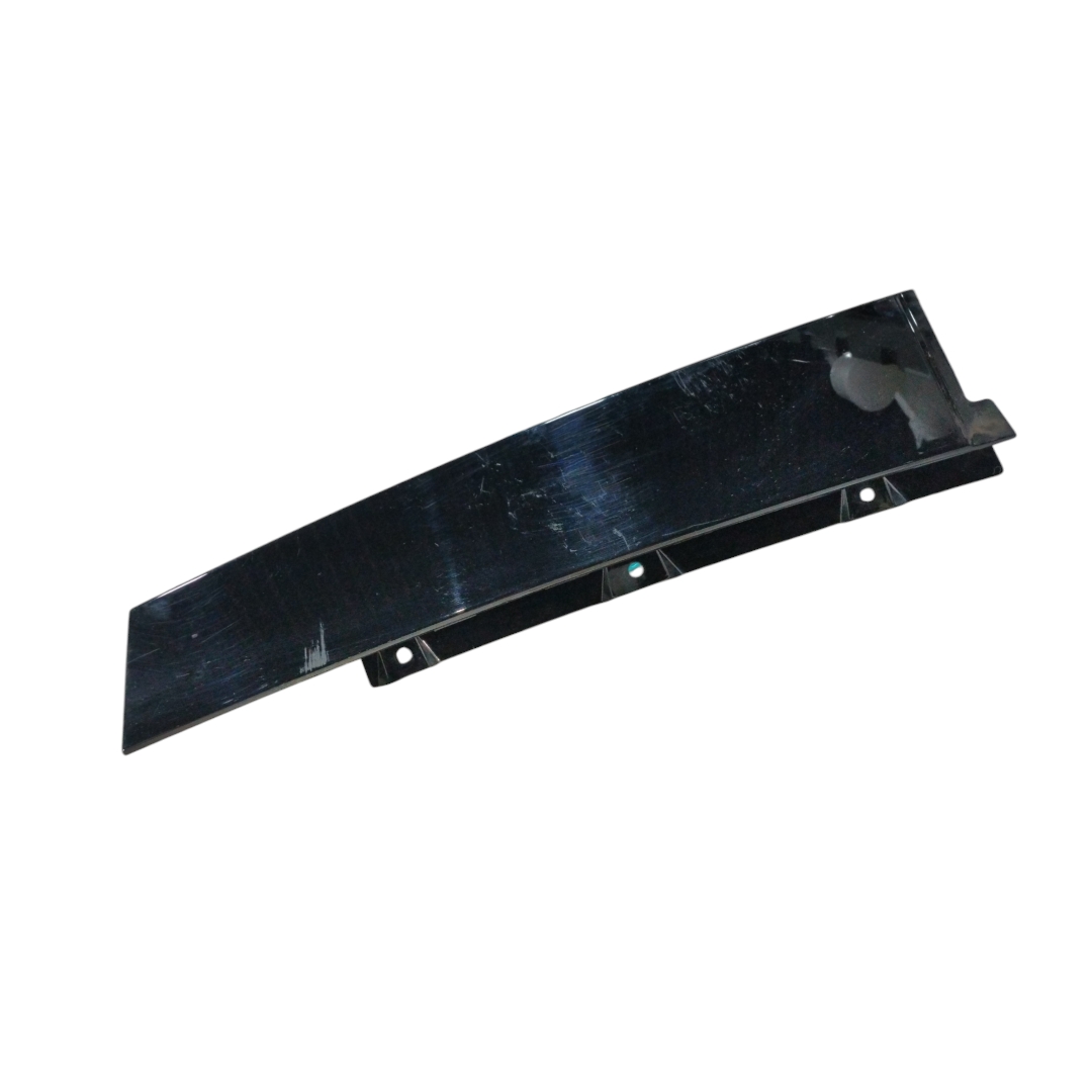 moldura externa porta traseira direita byd king GL 2025