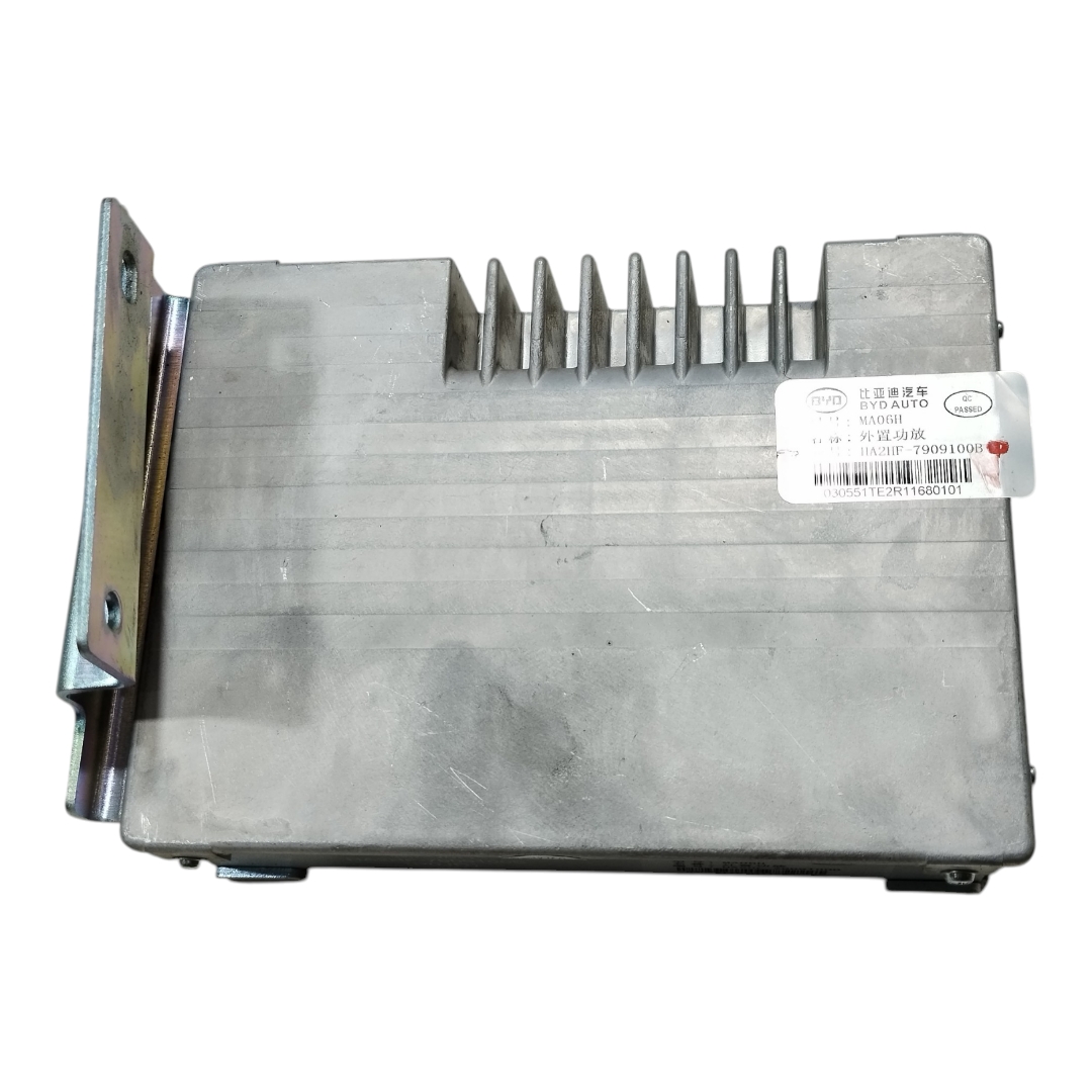 Módulo Amplificador Som Byd King Gl 2025