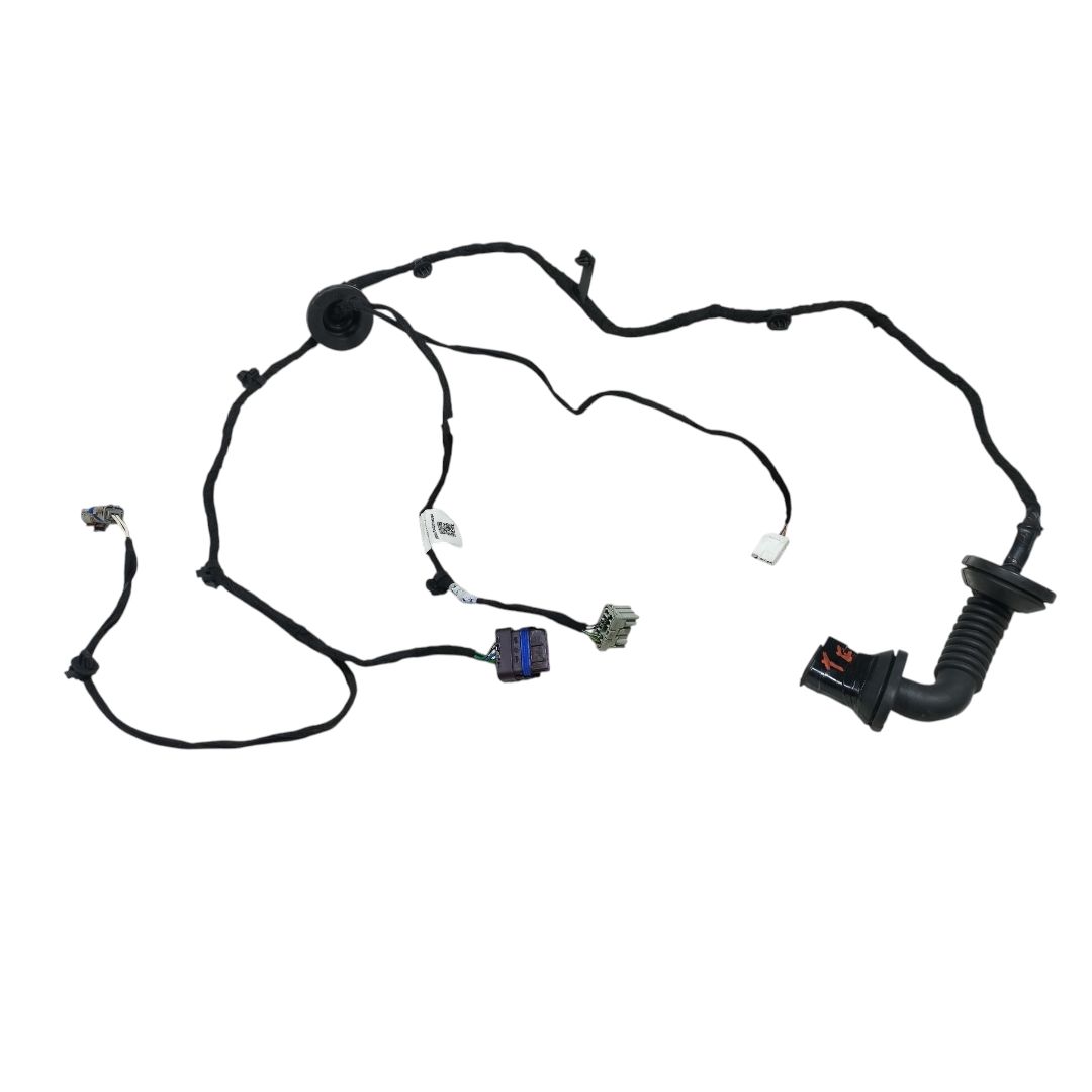chicote porta traseira esquerda byd king GL 2025