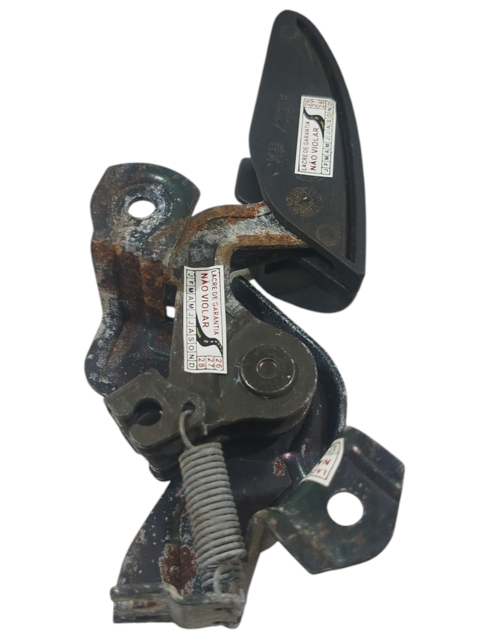 Miniatura 9